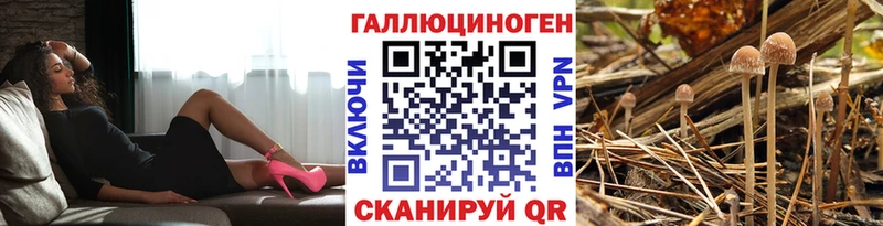 Псилоцибиновые грибы GOLDEN TEACHER Пересвет