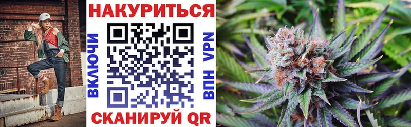 Канабис гибрид  Пересвет 